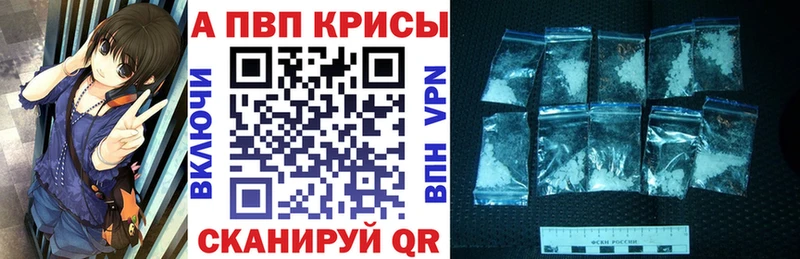 A PVP СК КРИС  Нефтекамск 