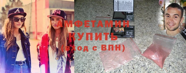 шишки Шенкурск