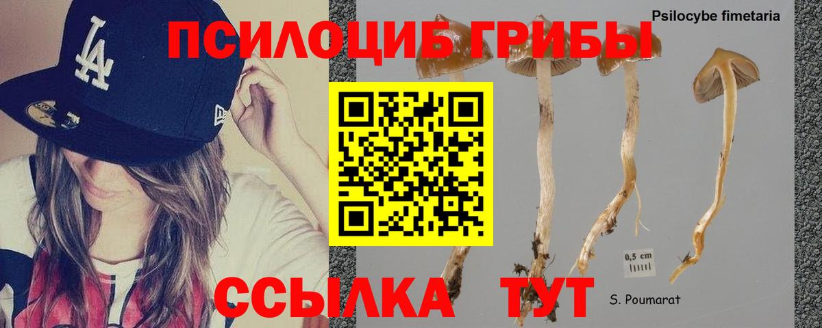 Псилоцибиновые грибы мухоморы Нефтекамск