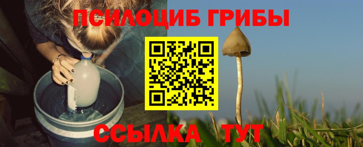 Нефтекамск  Галлюциногенные грибы Psilocybine cubensis  Вход с VPN 